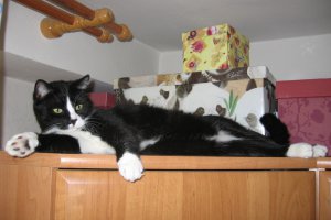 Ulubione miejsce odosobnienia